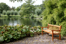 806559 Gezicht in de Botanische Tuinen van de Universiteit Utrecht in het Fort Hoofddijk (Budapestlaan 17) te Utrecht.